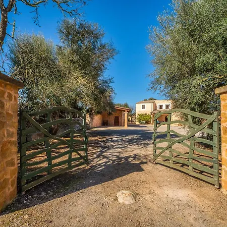 Country house Ideal Mallorca - Xim Felanitx