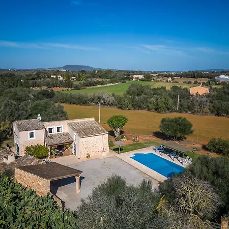Gospodarstwo wiejskie Ideal Mallorca - Xim Felanitx