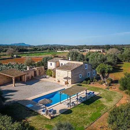 Ideal Mallorca - Xim Felanitx