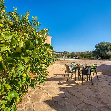 Ideal Mallorca - Xim *